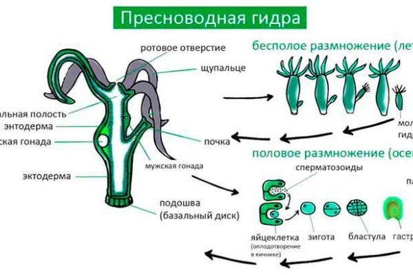 Кракен 17 af