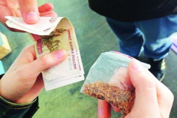 Кракен даркнет текст