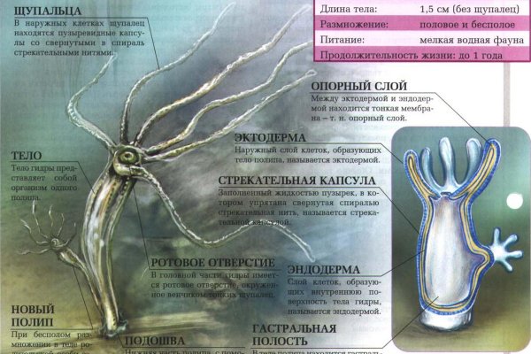Kraken что это за сайт