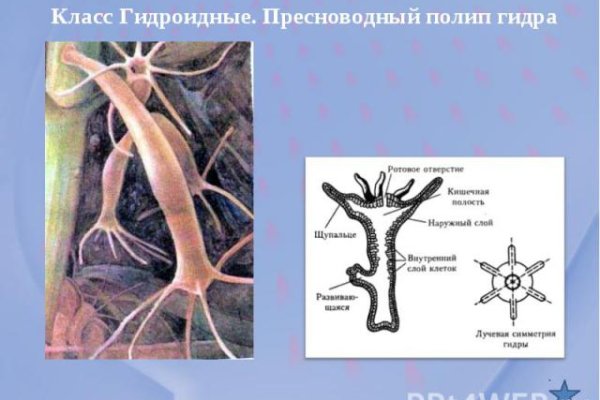 Маркетплейс кракен в россии